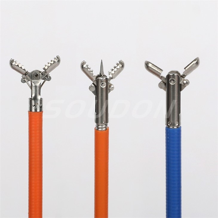 cold forceps biopsy